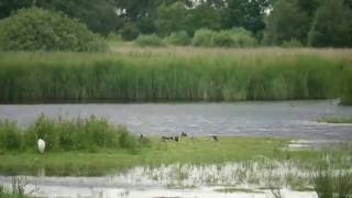 Hickling Broad Time Lapse [upl. by Clothilde]