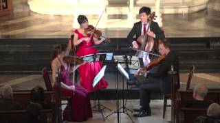 Attacca Quartet plays Haydn Op 76 no 2 quotFifthsquot  First Movement [upl. by Pettifer]