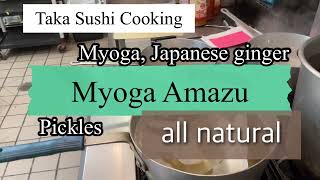 Taka Sushi cooking Myoga ginger pickles [upl. by Ahsied581]