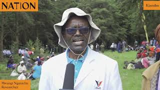 Kill the butterflies Kiambu farmers want farmlands fumigated due to infestation [upl. by Akiemaj]