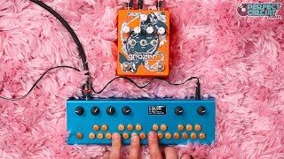 Dwarfcraft Devices  Grazer Granular Glitch Pedal [upl. by Naz]