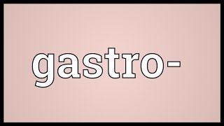 Gastro Meaning [upl. by Nevart262]