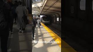 The Superfast Subway Train in Ontario 🇨🇦 [upl. by Nywrad938]