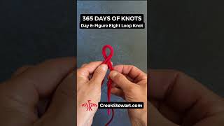 365 DAYS OF KNOTS DAY 6 Figure Eight Loop Knot  Also called Figure Eight on a Bight [upl. by Hewitt732]