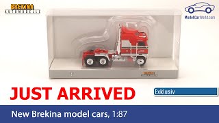 Brekina 187 Just arrived  exklusive for Model Car World  Kenworth K 100 Aerodyne [upl. by Lectra]