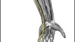 Ulnar Nerve Stretch  relieves pain [upl. by Ahseel]