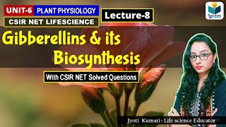 GIBBERELLIN AND ITS BIOSYNTHESIS PHYTOHORMONEPART8CSIR NET [upl. by Ocsirf]