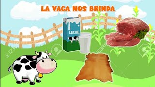 Derivados de los animales para niños [upl. by Bunch455]