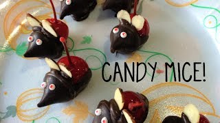 YUMMY DIY CANDY MICE [upl. by Ennayllek]