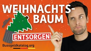 Weihnachtsbaum richtig entsorgen 🎄 So gehts  bussgeldkatalogorg [upl. by Yelnek]