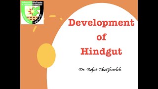 Development of Hindgut [upl. by Endora]