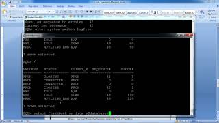 Data Guard  Performing Role Transitions [upl. by Moriarty]