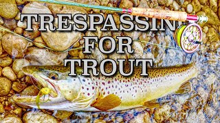 Large Flies amp Large Browns On The Saugeen River Ft Ken Chandler [upl. by Conrade507]