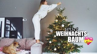 Wir kaufen unseren TANNENBAUM  janasdiary [upl. by Festus338]