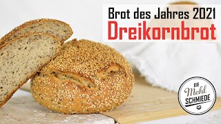 DREIKORNBROT backen  Mehrkornbrot backen  Brot des Jahres 2021  backen mit SAUERTEIG  TDDB [upl. by Eninahs]