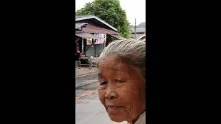 Wat phu Kong tong Forest monastery  Ajahn Martin🪷  Udon Thani  Thailand Meditation Practice [upl. by Nuahc]