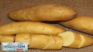 Potato Fingerling LateSeason Austrian Crescent OrganicHeirloom – Seeds Review [upl. by Frodeen]