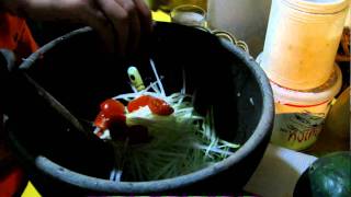 Making Green Papaya Salad in Vang Vieng [upl. by Anaiek537]