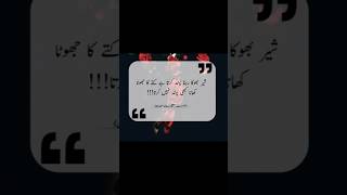 meri ulfat madine se yunhi nahi naattrendingshorts ytshorts viralshorts aqwalezareen 2024 [upl. by Glynas152]