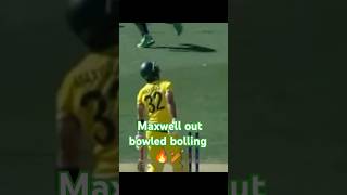 Maxwell out bowled Cricket love ❤️ShortsYou tube shorts [upl. by Assylla]