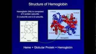 Dyshemoglobinemia Methemoglobin and Carbon Monoxide Poisoning ABG Interpretation  Lesson 19 [upl. by Boynton]