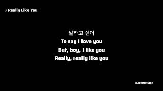 BABYMONSTER Really Like You PREVIEW  가사 Lyrics [upl. by Sadnalor40]