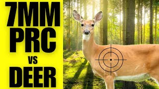 7MM PRC vs DEER [upl. by Birck]