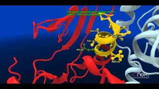 Structural Annotation of a Kinase CDK2 [upl. by Lipcombe]