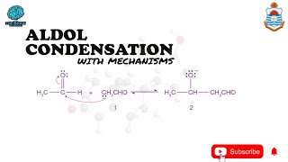 Aldol condensation reaction with mechanisms [upl. by Hakvir]