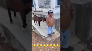 Amazing funny video🤣🤣trending youtubeshortsviralvideo funnyfunnyvideo facebook funny funny [upl. by Ydner704]