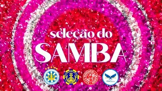 Seleção Do Samba  Vila Isabel Paraíso do Tuiuti Salgueiro e Portela [upl. by Malha563]