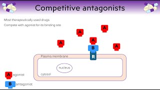 What is a drug and how does a drug work Different types of agonist and antagonist [upl. by Igic]