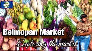 Belize Vlog  we went to the market in Belmopan the capital of Belize city  very affordable [upl. by Hilleary]