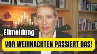 💥 Vor Weihnachten werden sie uns zerstören Alice Weidel Eilmeldung [upl. by Posner]