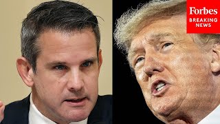 Republican Adam Kinzinger Endorses Biden Trump Doesnt Care About Democracy But POTUS Does [upl. by Mcnully]