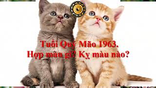 Tuổi Quý Mão 1963 Hợp màu gì Kỵ màu nào [upl. by Docia491]