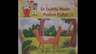 Grade 4 English Lesson  Dr Dolittle meets Pushmi Pullyu [upl. by Dlanod619]