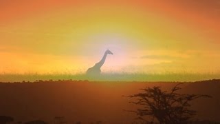 Kenia  Trailer Schulfilm Geographie [upl. by Niwdla]