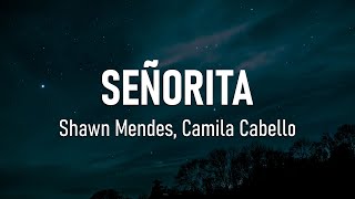 Shawn Mendes Camila Cabello  Señorita Lyrics [upl. by Celio]