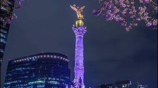 Final evidence CDMX [upl. by Gauldin]