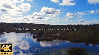 Henstedter Moor cinematic Drohnenshot mit der DJI Mini 2 [upl. by Feeley]