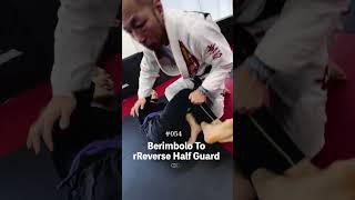 【柔術必殺技】54 Berimbolo to Reverse Half Guard リバースハーフに対してのベリンボロ [upl. by Welcy40]