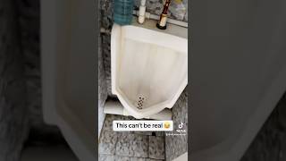 Curtain for a urinal 😂🤦🏽‍♂️ [upl. by Suiram118]