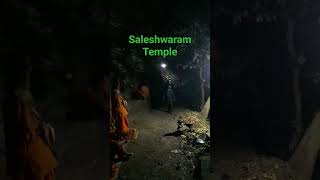 saleshwaram Temple Telangana [upl. by Riplex852]