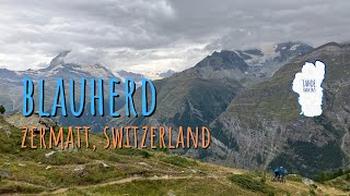 Incredible Swiss Singletrack  Blauherd to Sunegga Flow [upl. by Gorden]