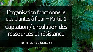 Cours Spé SVT Terminale  Organisation des plantes 1  Ressources et résistances [upl. by Oelgnaed167]