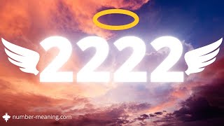 ANGEL NUMBER 2222  Meaning [upl. by Crocker59]