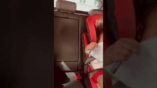 They hate seatbelts Who else is experiencing this 🤔car travel viral [upl. by Eilarol]