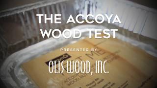 OLIS WOOD Accoya Wood Test Demonstration [upl. by Ainoda]