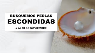 BUSQUEMOS PERLAS ESCONDIDAS  SEMANA 4 AL 10 DE NOVIEMBRE 2024 [upl. by Sessilu]